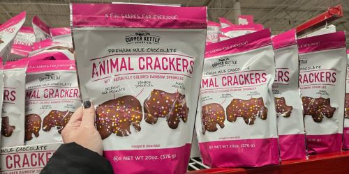 NEW Valentine’s Day Treats at Sam’s Club | Popcorn Cones, Animal Crackers, & More!