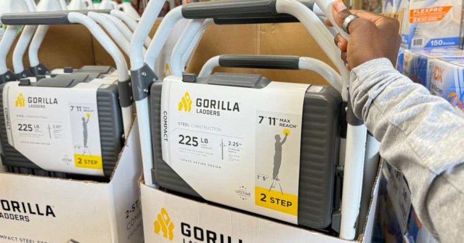 Gorilla Ladder 2-Step Stool Only $19.88 Shipped on HomeDepot.online