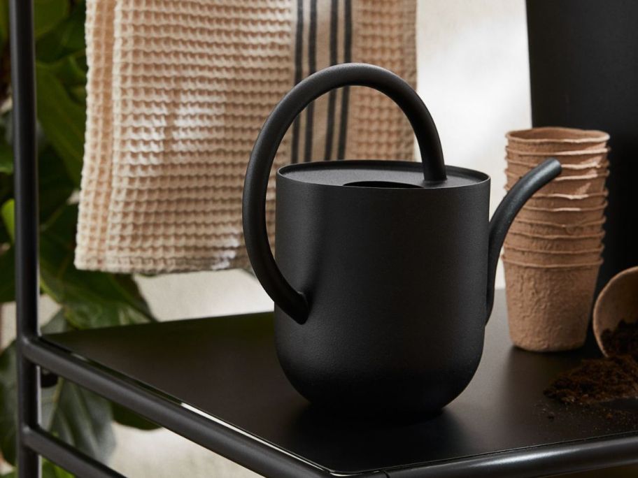 H&M Metal Watering Can