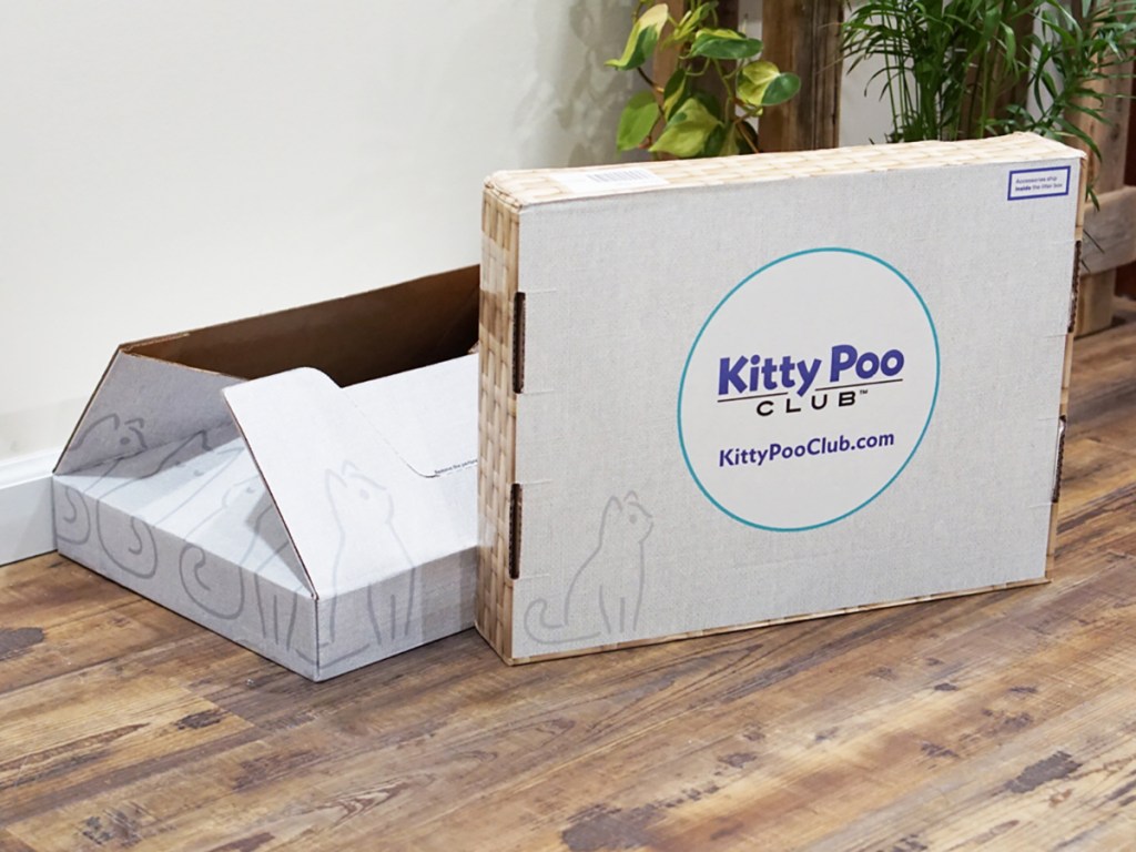 kitty poo club box on floor