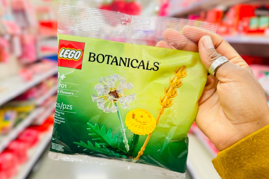 hand holding LEGO botanicals bag