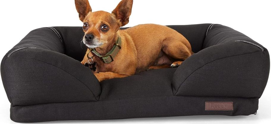 Reddy IndoorOutdoor Dog Bed