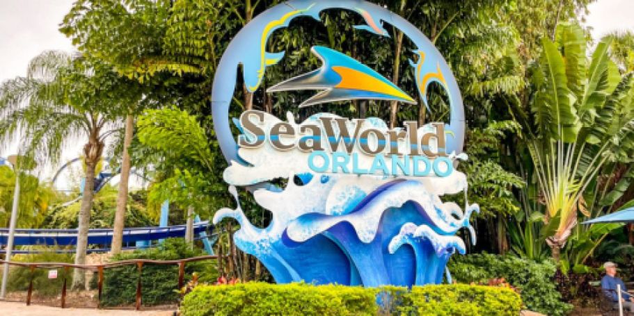 Up to 65% Off SeaWorld Tickets + FREE Meal