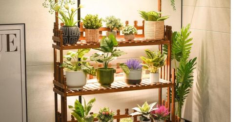 Plant Stand 3-Tier w/ Grow Lights Only $49.99 Shipped on Amazon (Regularly $110)