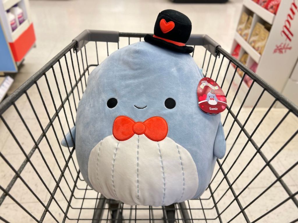 Squishmallows Valentines Samir