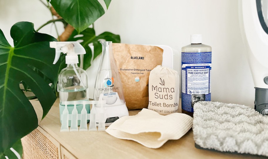various household toxic free cleaning products on table with plant
