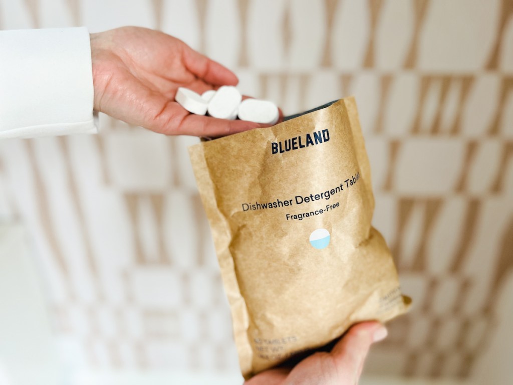 hand holding blueland dishwasher tablets