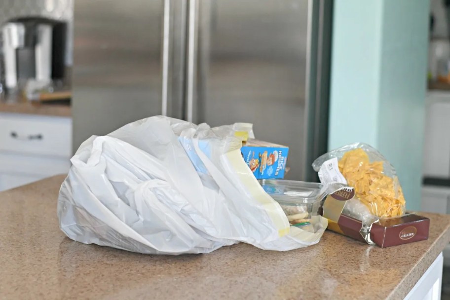 trash bag with food spilling out onto kitchen counter