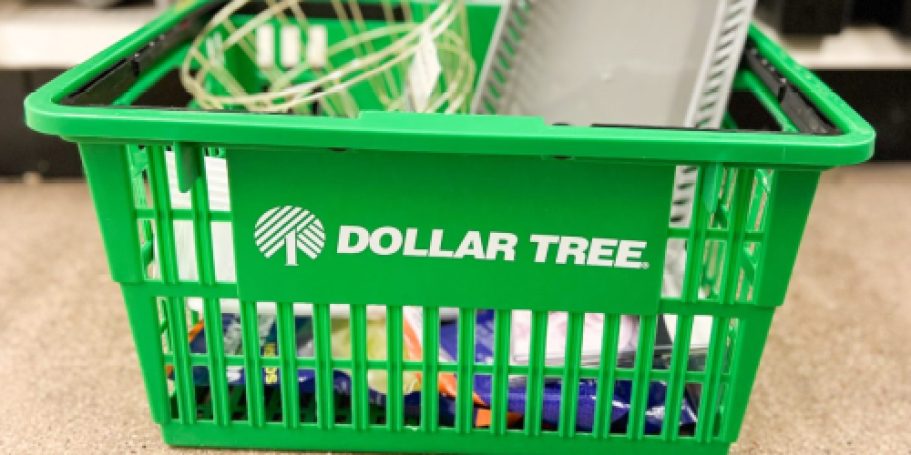 Say It Ain’t So! Dollar Tree Could Be Raising Prices Again…