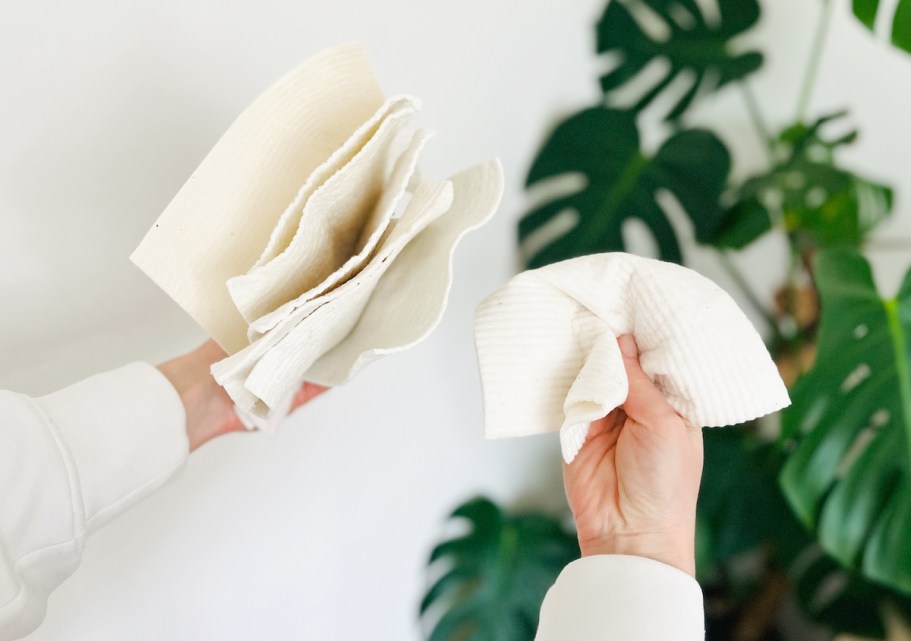 Best Plastic-Free Deals | Owala, Swedish Dishcloths & More!