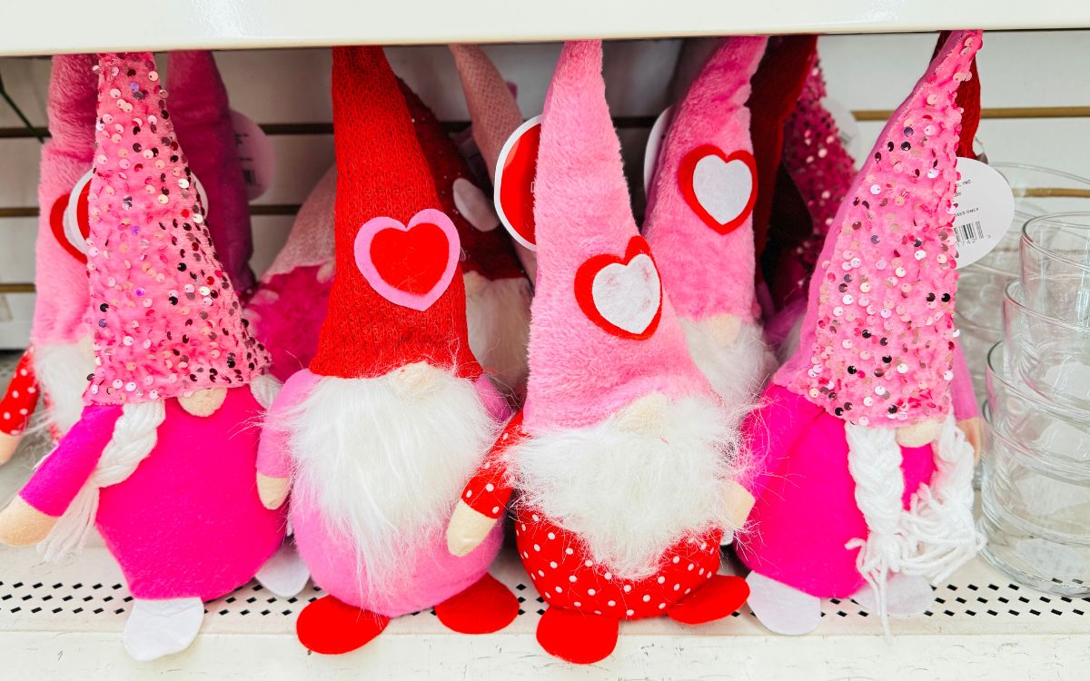 New Dollar Tree Valentine’s Day Decor – starting at Just $1.25!