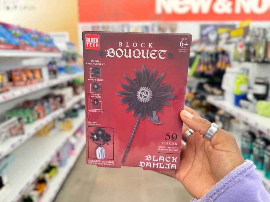 A person holding a Block Bouquet Black Dahlia box in a store