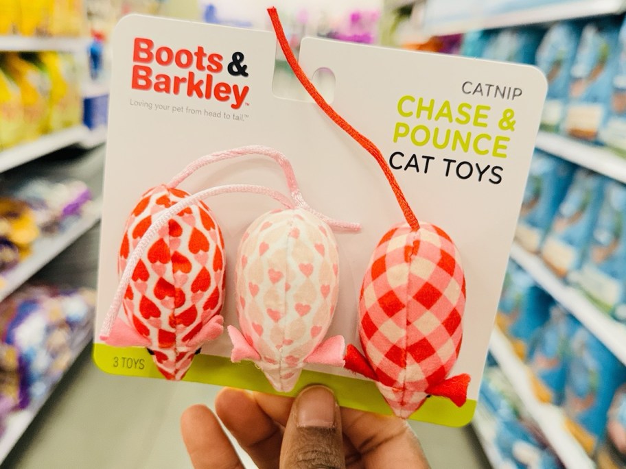 Boots & Barkley Catnip Chase & Pounce Cat Toys