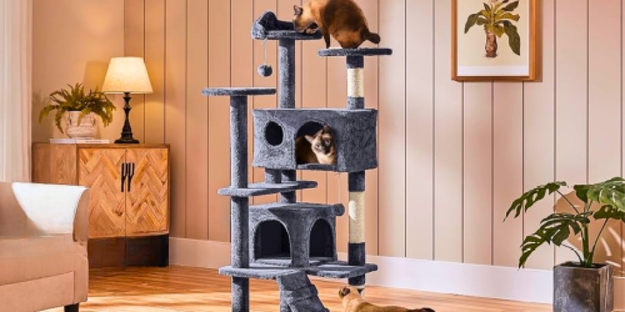 Multi-Level Cat Tree Only $59 Shipped on Amazon | Over 26,000 5-Star Reviews!