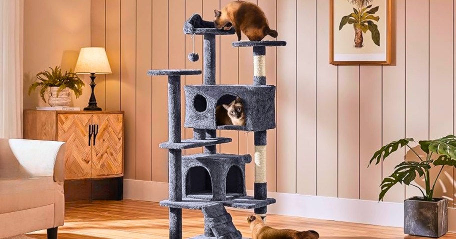 a dark grey tall cat tower with cats in it and climbing on it in a living room