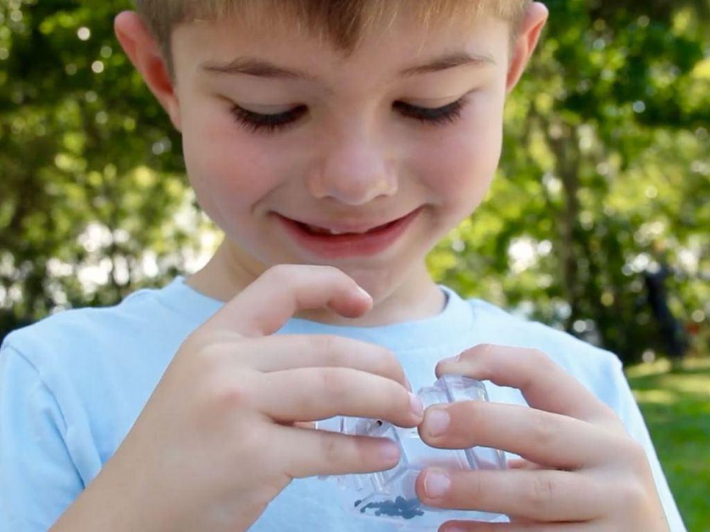 Child looking at Ants inside the plastic container from Uncle Milton's Ant Vacuum