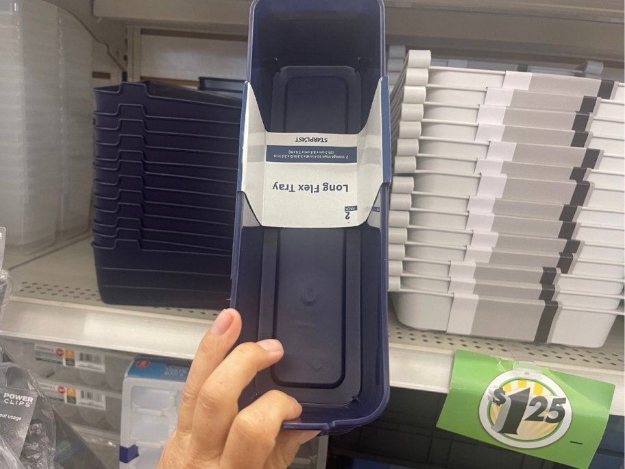 hand holding a pack of small blue rectangle organizing bins, more in larger sizes behind it