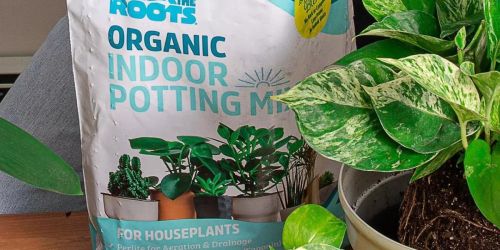 Back to the Roots Organic Potting Mix Just 99¢ After Cash Back at Target