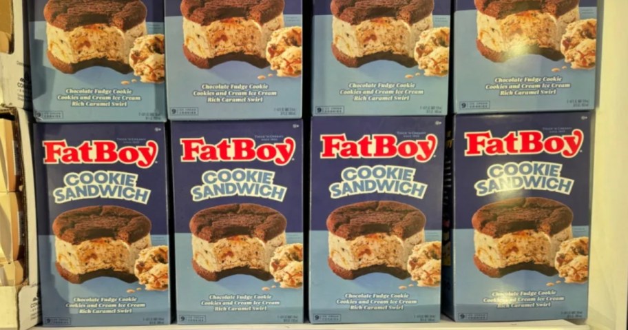 Fat Boy Cookie Sandwich boxes in store, in the freezer case.