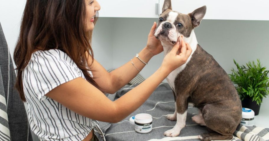 woman wiping a pet antibacterial wipe on her dog