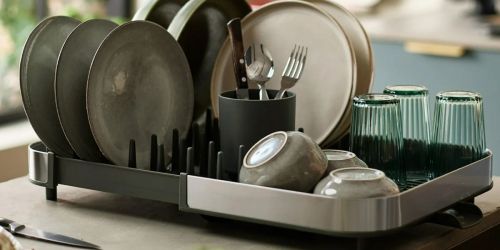 Expandable Dish Rack AND Sink Organizer Just $16.97 on Walmart.online (Reg. $60)