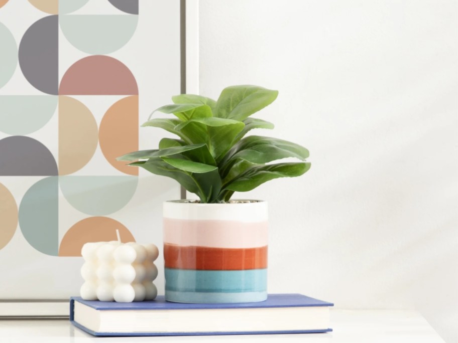 Mainstays 9" Fiddle Fig Leaf in Striped Pot