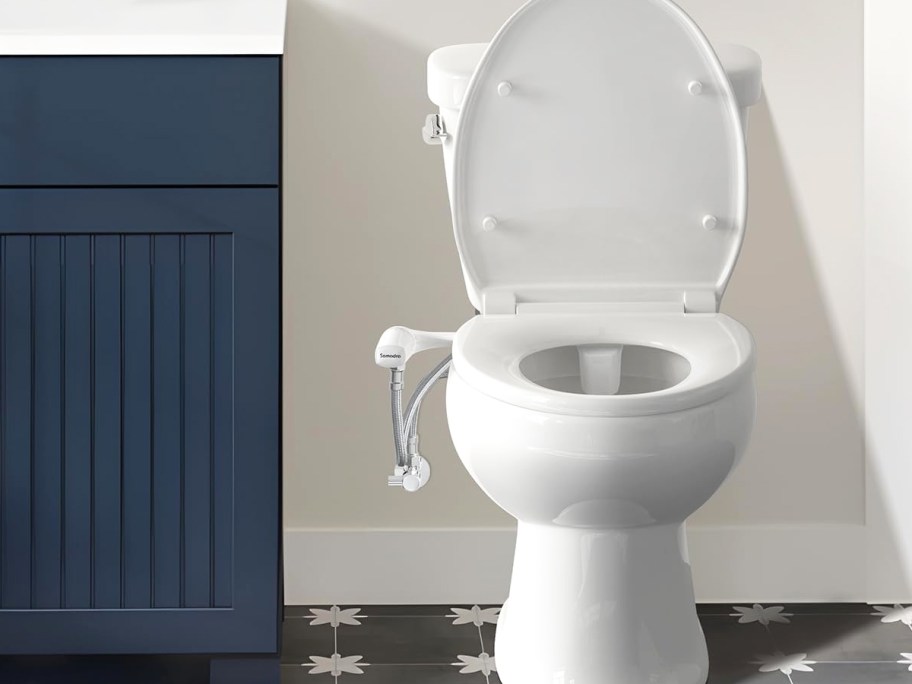 toilet with a bidet attachment