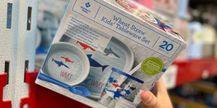 Kids 20-Piece Dinnerware Set Only $14.98 on SamsClub.online | Microwaveable & Dishwasher-Safe