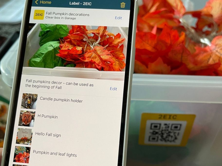SmartLabels App showing what's inside a storage tote of fall decor