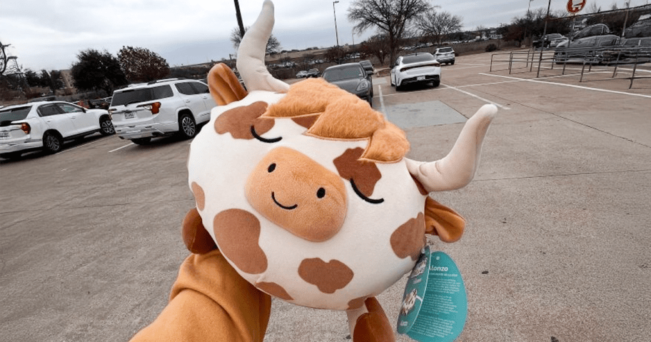 Squishmallow Highland Cow Sleepamallow being held in a parking lot