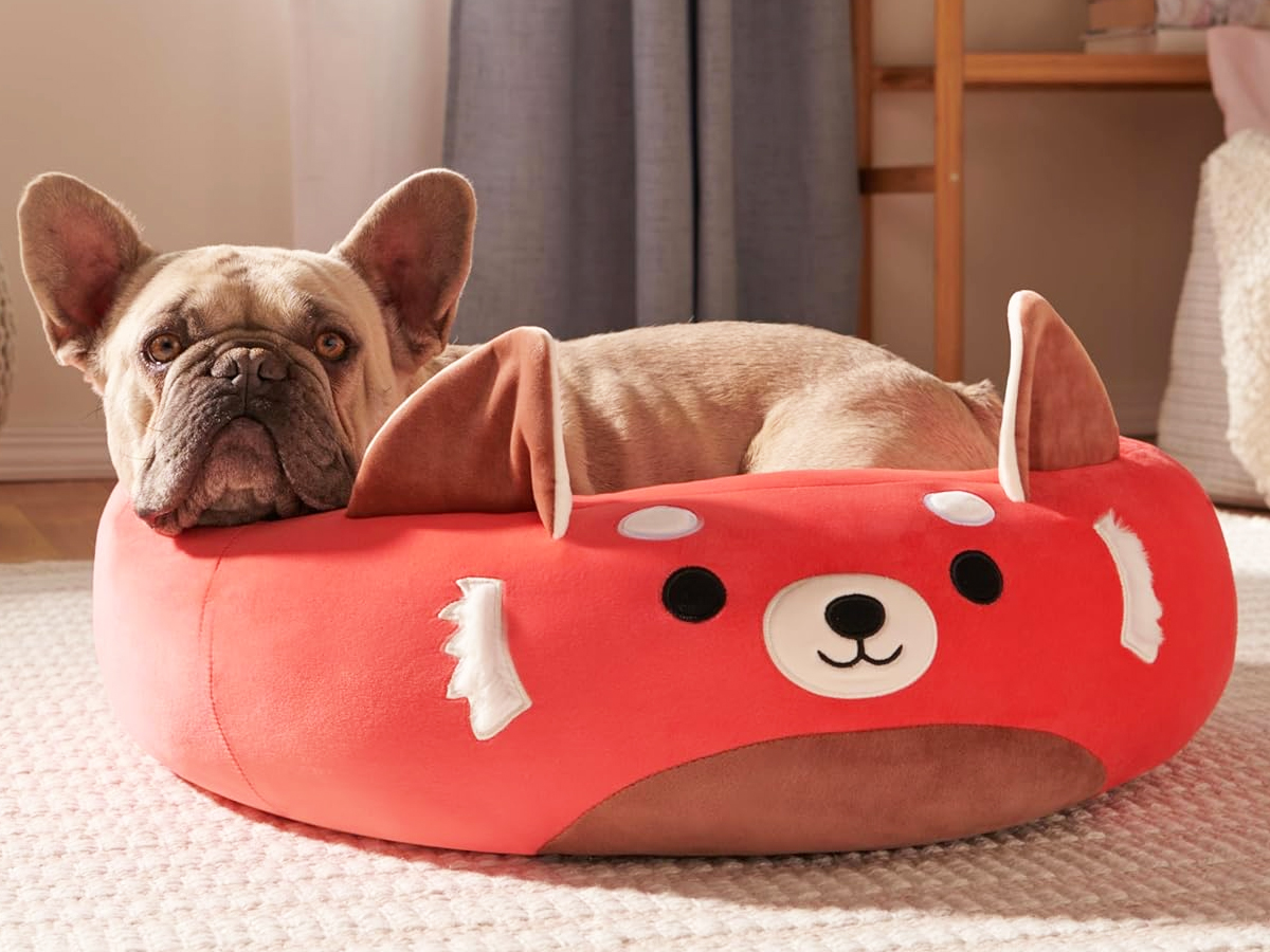 Squishmallows Sale – Pet Beds Just $17.99 Shipped & More!