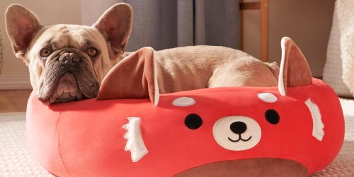 Squishmallows Sale – Pet Beds Just $17.99 Shipped & More!