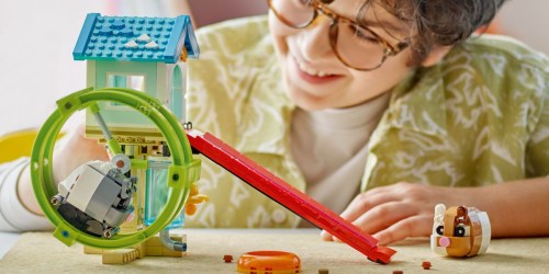 LEGO Creator 3-in-1 Hamster Wheel Just $25 After Walmart Cash