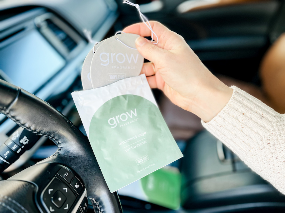 hand holding pack of grow fragrance natural air freshener car fresheners inside of car