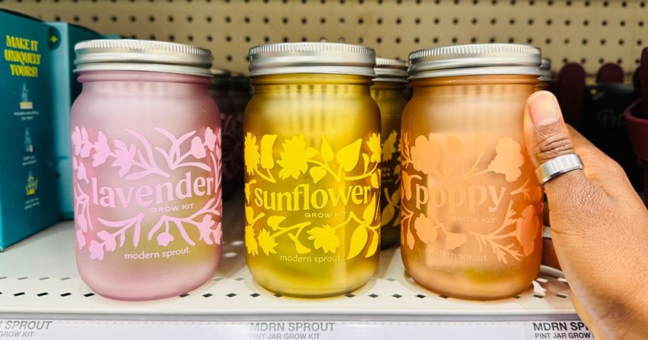 Modern Sprout Grow Kits Only $7.79 on Target.online (Reg. $13)