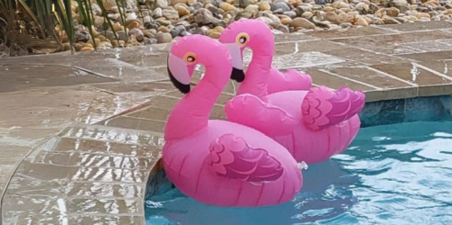 Add These Flamingo Pool Lights to Your Yard (They’re Only $11.49 on Amazon)
