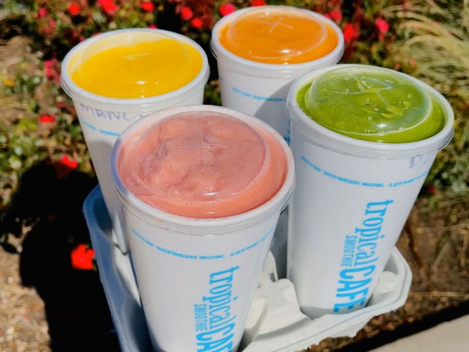 tray of tropical smoothie cafe drinks in drink holder being held up in front of greenery