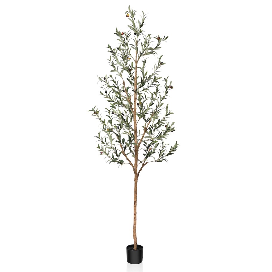 stock photo of faux olive tree