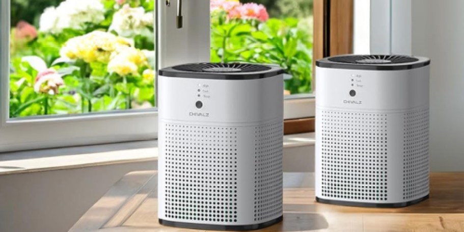 HEPA Air Purifiers w/ Diffusers 2-Pack Just $59.84 Shipped on Amazon