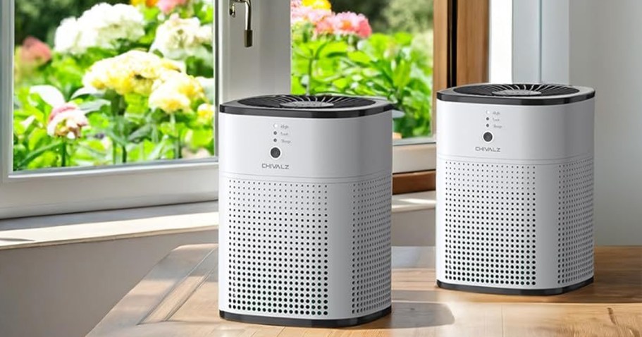 HEPA Air Purifiers w/ Diffusers 2-Pack Just $59.84 Shipped on Amazon