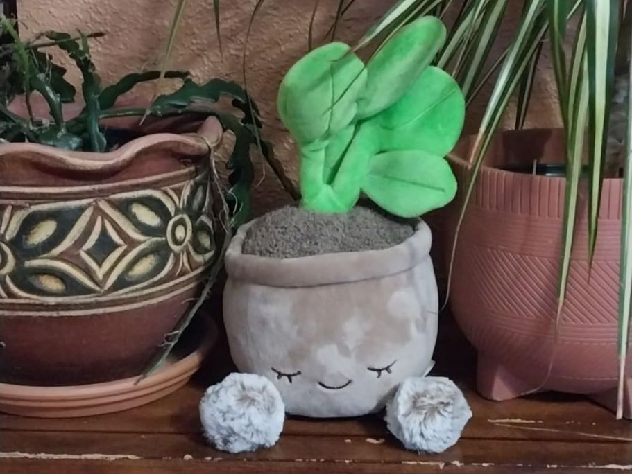 Greenhouse Plant Plush Set Only $12.99 on Amazon – No Watering Needed!