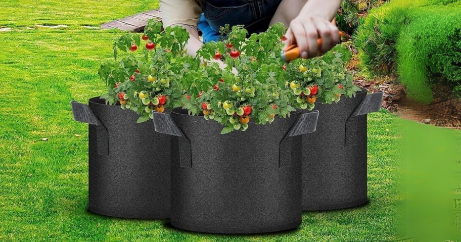 a woman putting pants into black fabric grow bags that are sitting on green grass in a yard