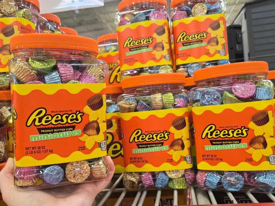 Hand holding reeses mini cups in their tub at sams club