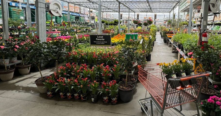 The Home Depot Garden center