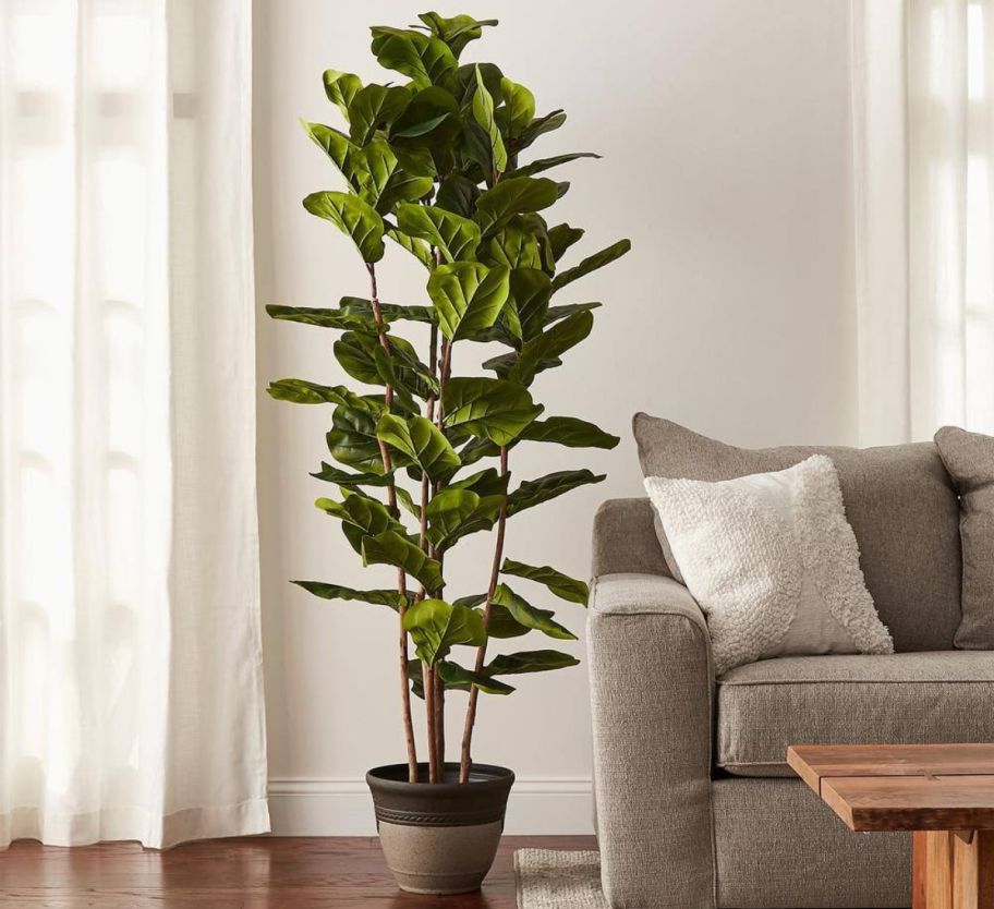 a 72 inch artificial fiddle fig leaf tree