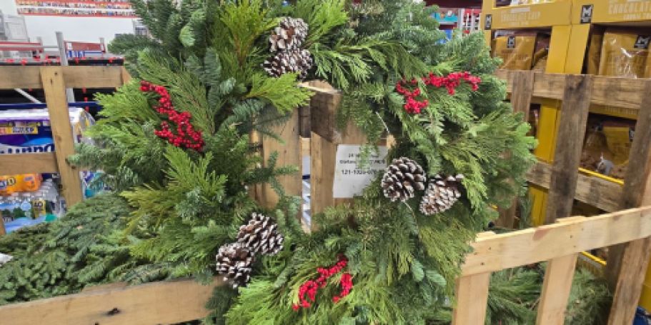 NEW Sam’s Club Christmas Greenery & Plants UNDER $20