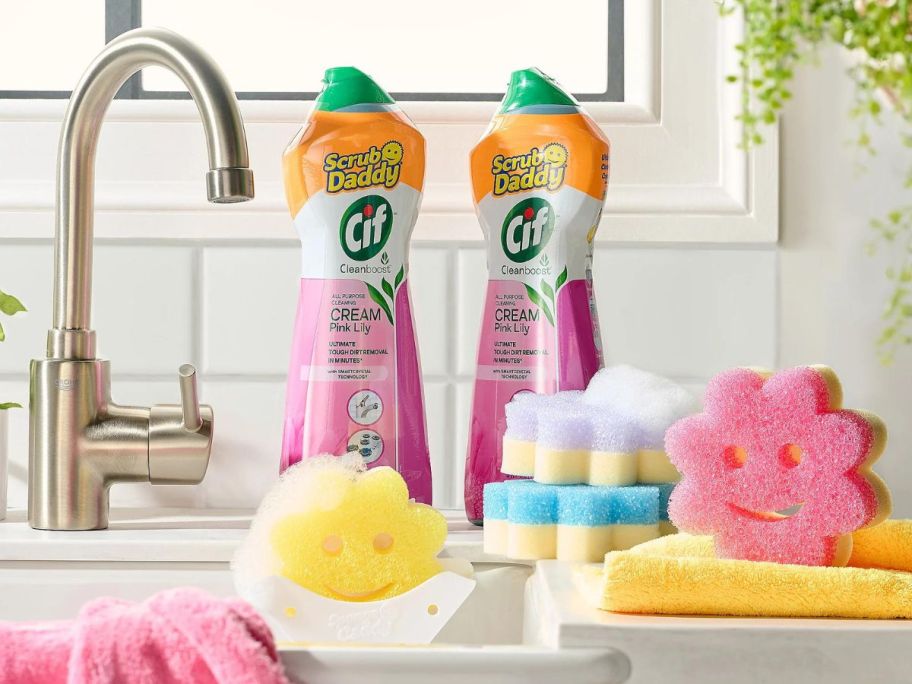 Several Scrub Daddy products on a sink