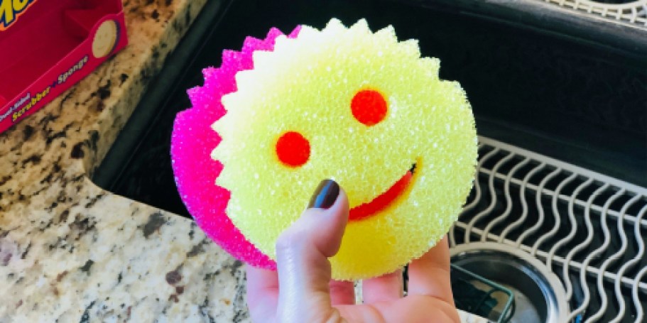 Scrub Daddy 9-Piece Set Only $21.98 Shipped (Regularly $36) – Today Only!