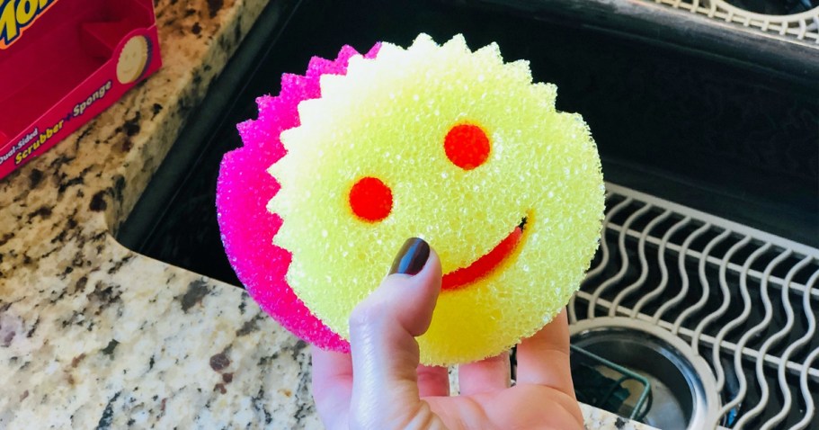 Scrub Daddy 9-Piece Set Only $21.98 Shipped (Regularly $36) – Today Only!