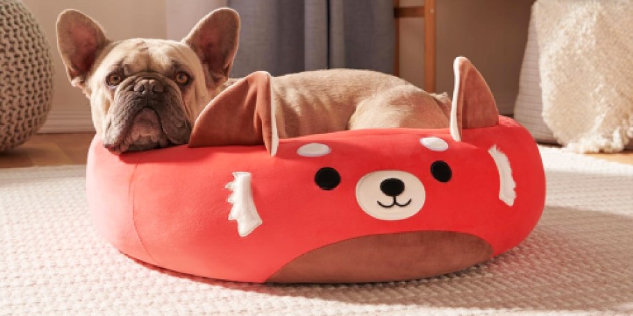 Up to 50% Off Squishmallows Pet Beds | Adorable Styles from $19.99 Shipped!